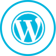 Eazy Digital are the WordPress Website Experts